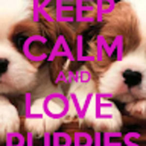 Meet your Posher, Marcia